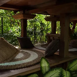Roots Tree House Domek letniskowy
